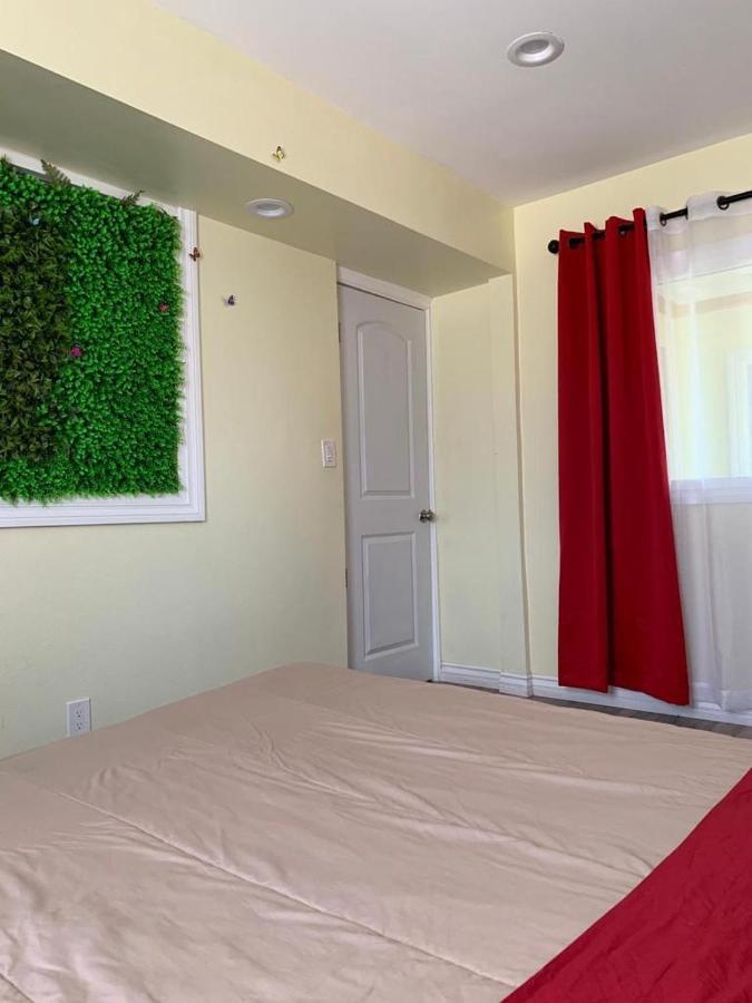 Lax Guest House อิงเกิลวูด ภายนอก รูปภาพ